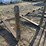 #3923-•-approx-48"-loader-forks-image-3