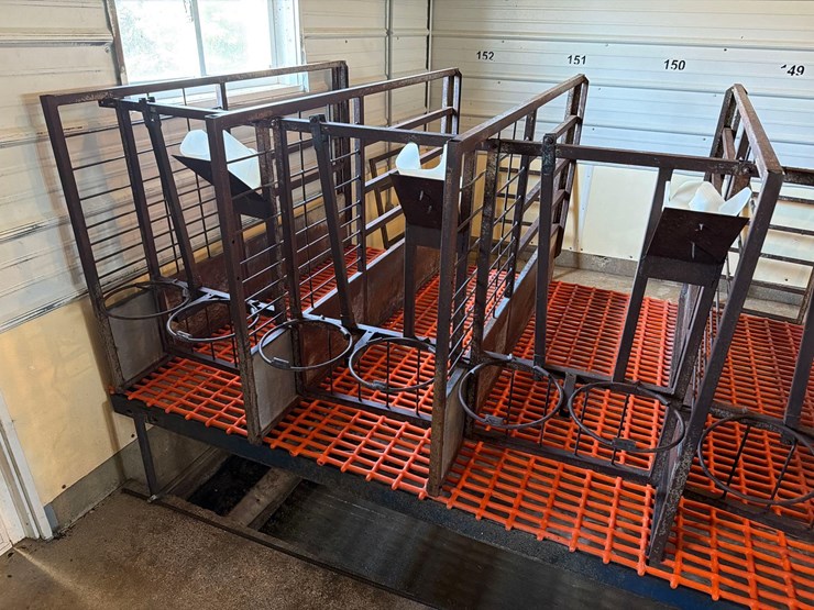 50-metal-calf-crates-image-6
