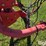 2009-kuhn-fc313-image-16