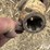 bush-hog-6-image-9