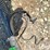john-deere-r-image-12