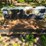 #24323-•-105-gallon-fuel-tank-image-8