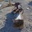 #22948-•-tailgate-salt-spreader-image-7