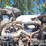2021-mack-gr64f-image-21
