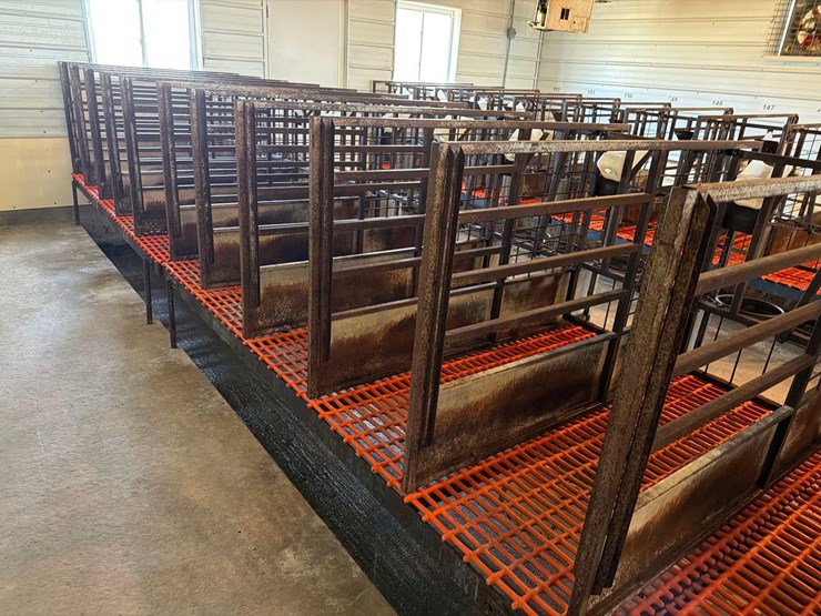 50-metal-calf-crates-image-35