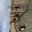 6-wheel-rake-3379-image-7