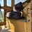 caterpillar-12f-image-51