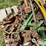 john-deere-653a-image-8