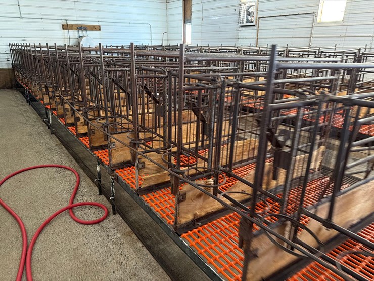 52-metal-calf-crates-image-12