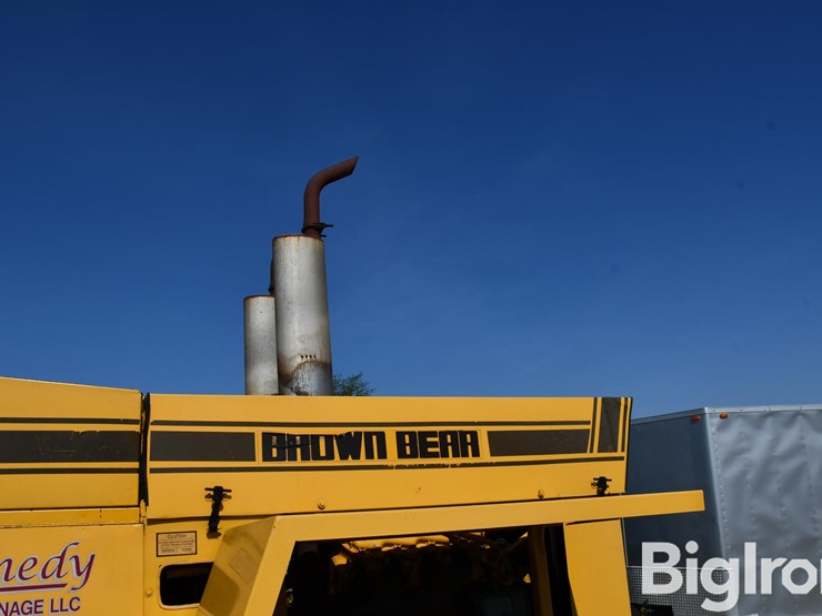 brown-bear-c-image-20