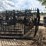 #5124-•-set-of-gates-with-horse-design-image-1
