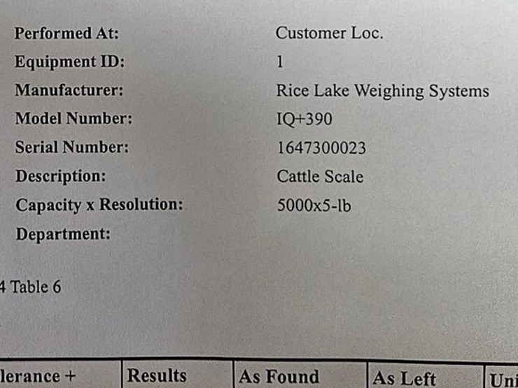 8x10-rice-lake-scales-image-4