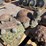 pallet-of-asst-concrete-turtles-and-stepping-image-4