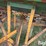 shop-built-seeder/fertilizer-spreader-image-13