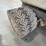 whiteman-wbh-10-concrete-buggy-image-12