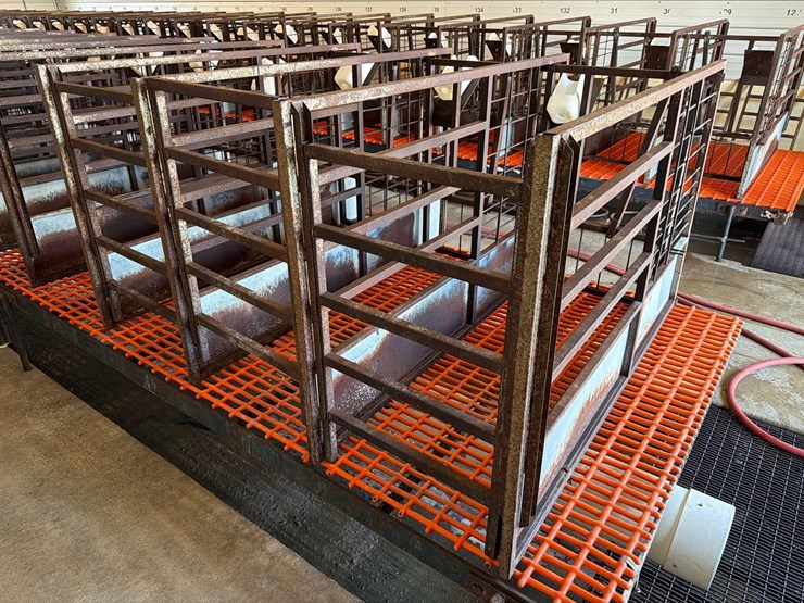 50-metal-calf-crates-image-30