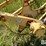 new-holland-56-image-12