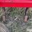 bush-hog-mbx96-image-10