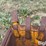 at1011631-bucket-image-11