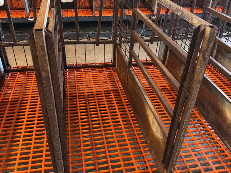 50-metal-calf-crates-image-24
