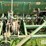 john-deere-fb-image-10