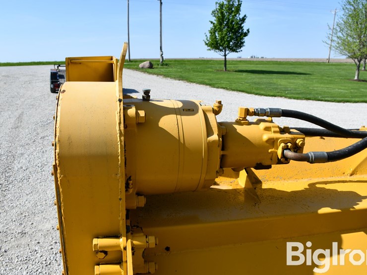 brown-bear-c-image-15