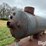 wood-stove-image-12