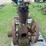 antique-engine-image-4