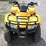 2007-honda-trx250-image-4