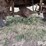 shop-built-trailer-image-9