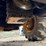 volvo-l60e-image-49