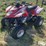 2006-arctic-cat-250-image-1