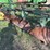 john-deere-f145h-image-6