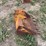 gannon-svo2-7024-bucket-image-4