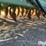 john-deere-9300-image-17
