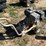 mi-t-m-4,000-psi-pressure-washer-image-2