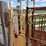 formost-chute-w/-manual-gate-image-3