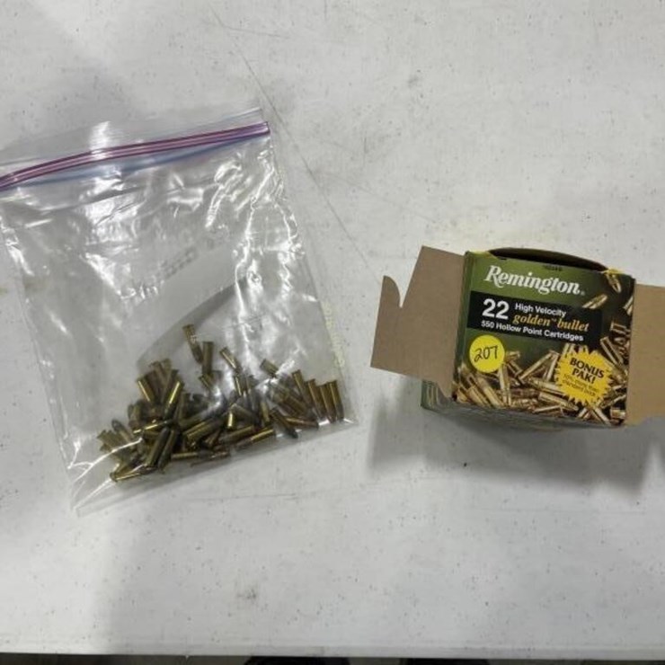 550 +/- Rounds misc 22 Ammo