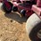 yazoo/kees-zvkw61252-zero-turn-mower-image-5