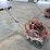 2021-husqvarna-soft-cut-x150-saw-image-2