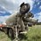 1996-ford-lt9000-image-4