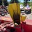 #7411-•-farm-king-snow-blower-image-15