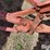 new-idea-101e-image-11