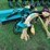 2019-victory-emhd-140-telescoping-flail-mower-image-1