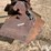 allis-chalmers-10-image-7