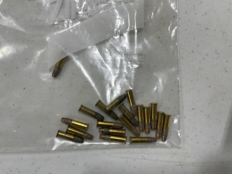 550-+/--rounds-misc-22-ammo-image-3