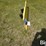 john-deere-54-image-4