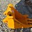 caterpillar-303-image-3