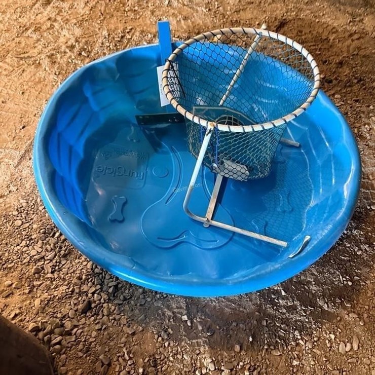 Kid Pool, Net & other