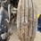 1996-mack-rd690s-image-47